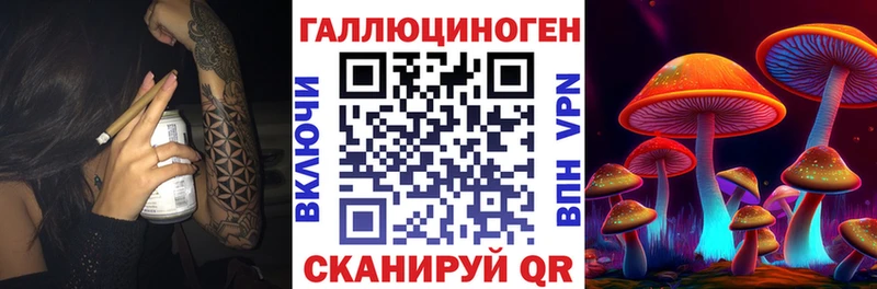 MEGA как зайти  Зеленогорск  Галлюциногенные грибы мицелий  цены  